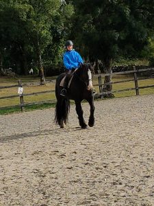 now you irland horse riding reiten